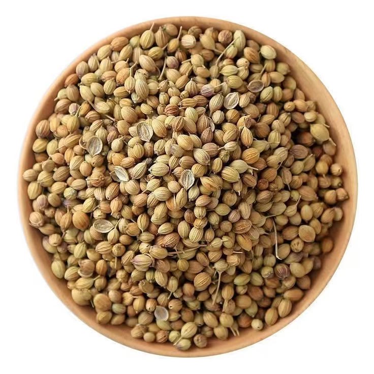 Coriander Seeds